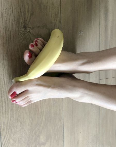 陈情令电视剧50集免费观看
