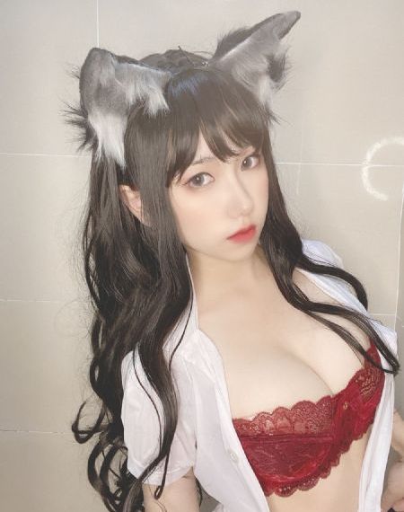 加菲猫的幸福生活免费观看完整版