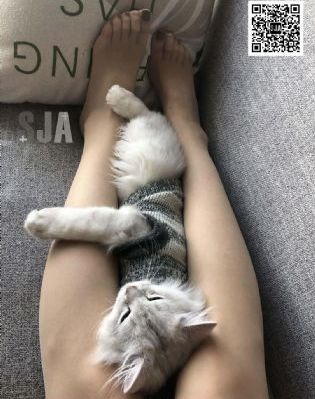 999电影免费在线观看
