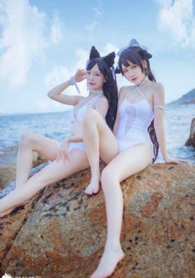 杀狼花电视剧全集40集免费观看