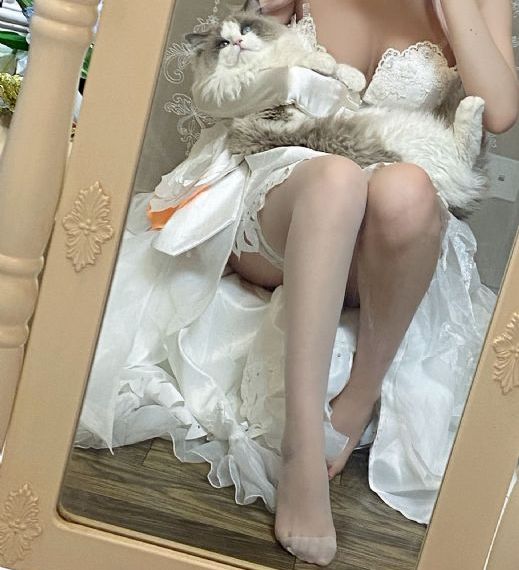 美丽的世界