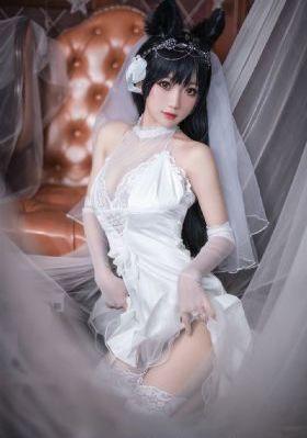 老九门全集