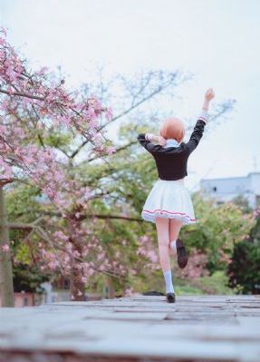 李宗瑞视频