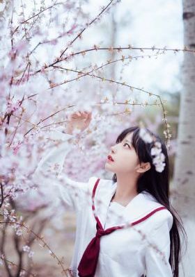 兄弟营电视剧全集观看免费